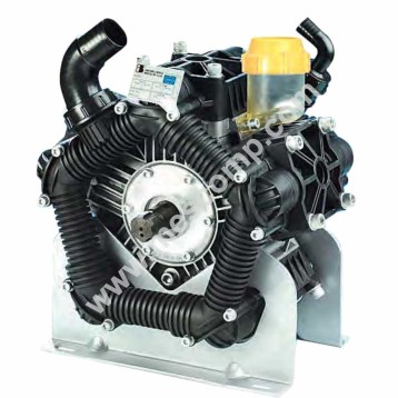 POLY 2210 VD Bertolini...