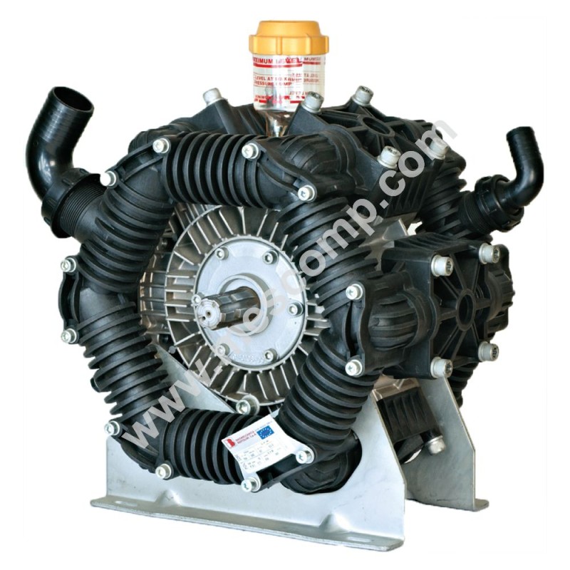 POLY 2260 VD Bertolini Pumpe, Kolbenmembranpumpe, Förderleistung 260 l/min, Druck 15 bar