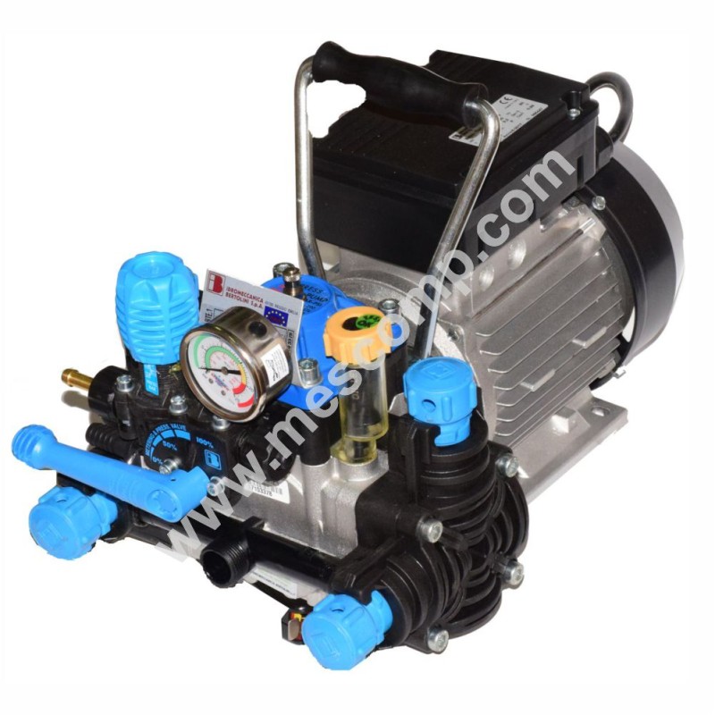 Poly 2020 RTE motor pump 230 V AC, 20 l/min, 15 Bar