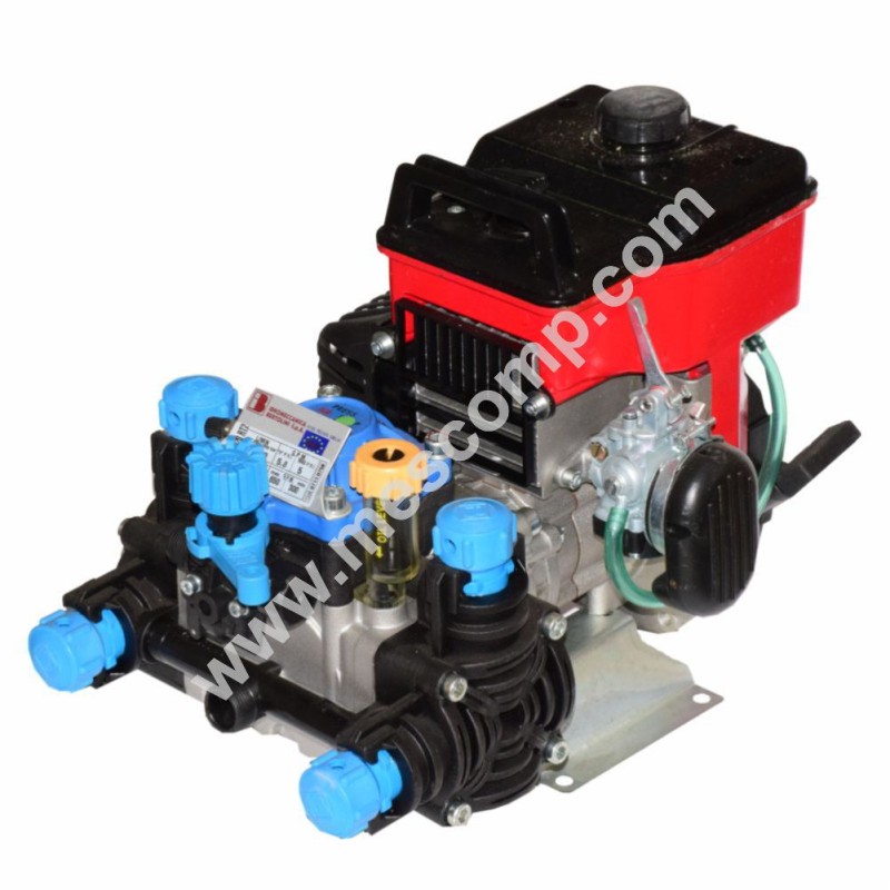 Poly 2020 RT2 motor pump, 2 stroke engine,  20 l/min, 15 Bar