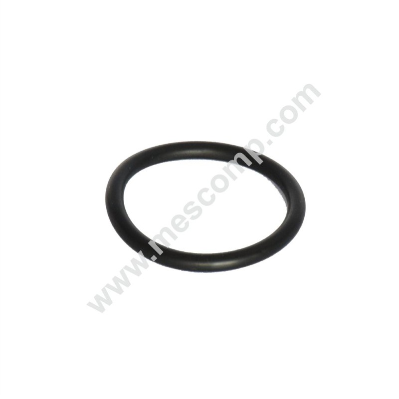 Poly 2180 O-Ring für Saug- und Druckverteiler, Artikel 22