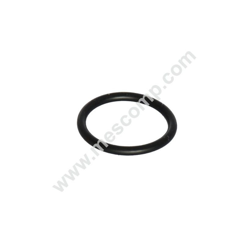 Kopf-Körper-O-Ring für Obstgartenpumpen
