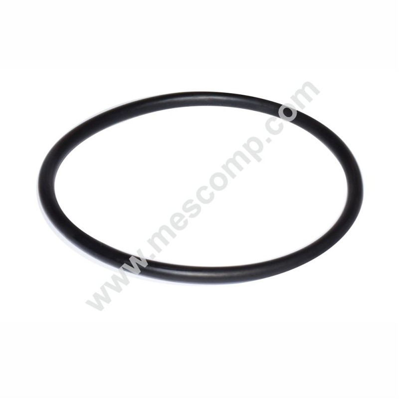 Gasket G00001056 for suction filter 180-260 l/min