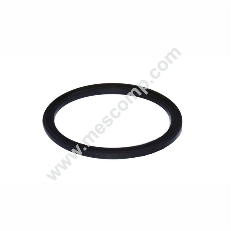 Gasket G00002052 for line filter 55 l/min