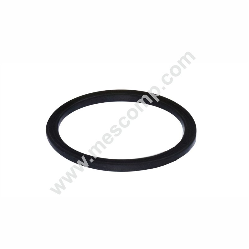 O-Ring G00002052 für Inline-Filtergehäuse 55 l/min
