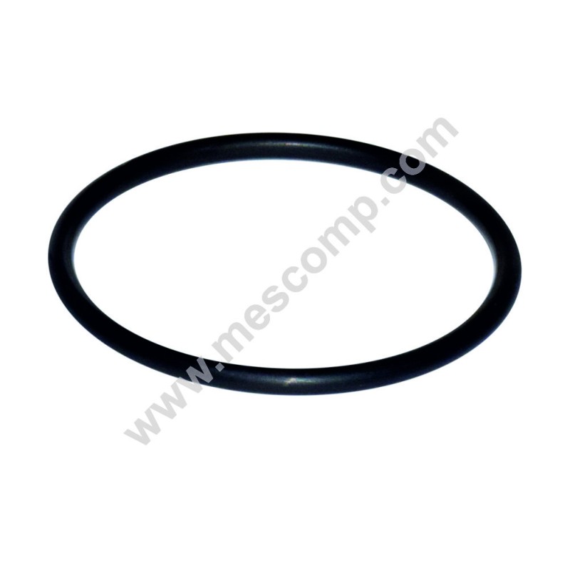 O-Ring G00001064 für Inline-Filtergehäuse 100 l/min