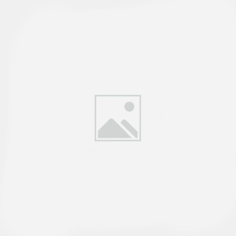 80 Mesh Obstgarten Druckfiltereinsatz 150 l/min Tecomec