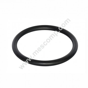 Suction Valve  seal Altek...