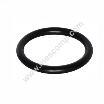 Protector cap oring for...