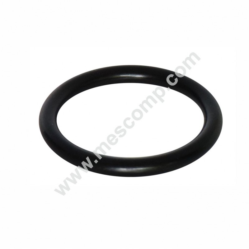 Protector cap oring for Bertolini valves