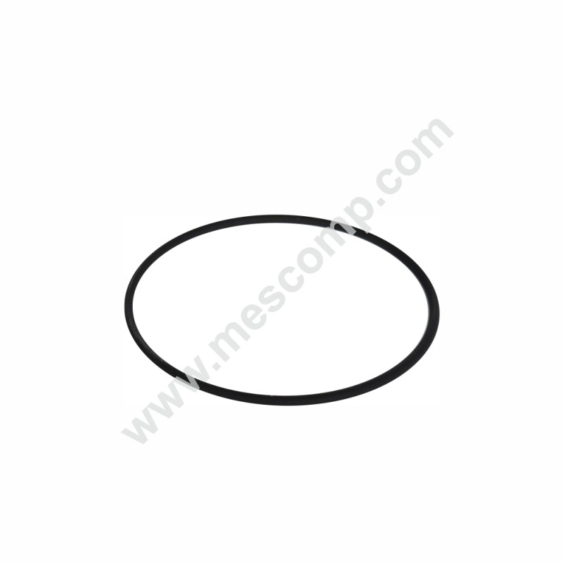 Uszczelka zaworka  ssawnego Altek P260, P380, P500, P260/260