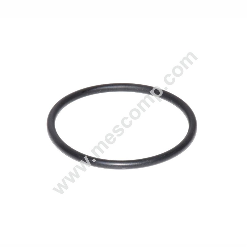 Gasket G00001050 for line filter 150 l/min