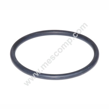 O-Ring G00001083 für das...