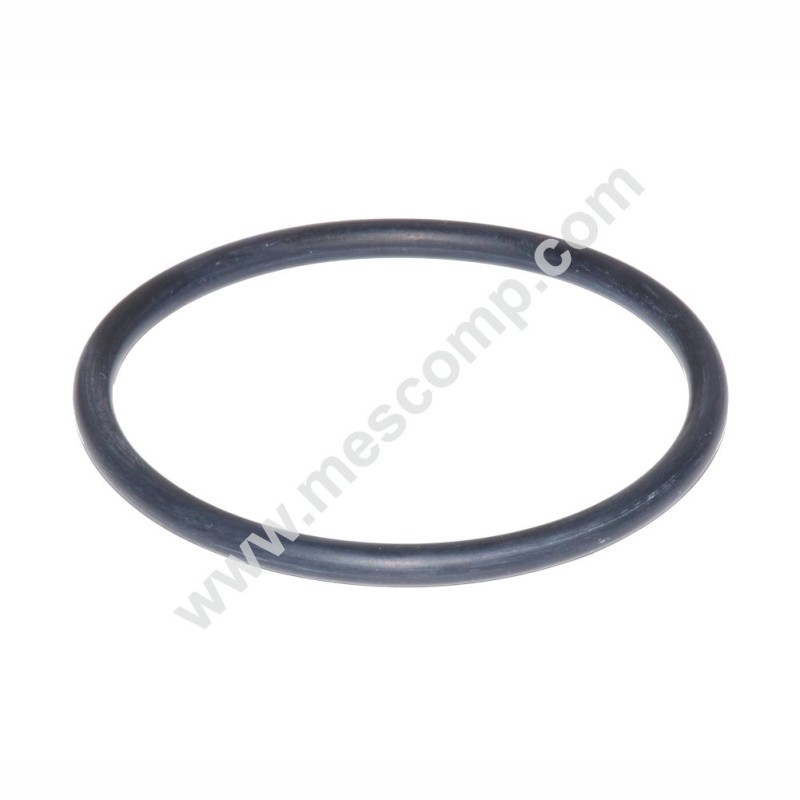 O-Ring G00001083 für das Druckfiltergehäuse 210 l/min
